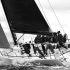 Seattle WA - Pacific Cup Yacht Race - photo © Ronnie Simpson
