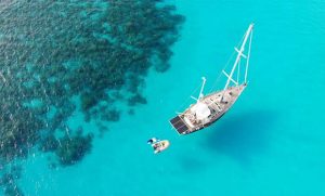 Desperately seeking solutions © Peter Bernard