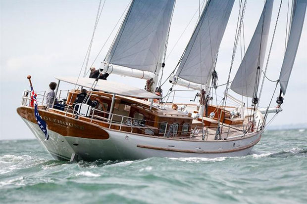 Wolfhound © Paul Wyeth Marine Photography