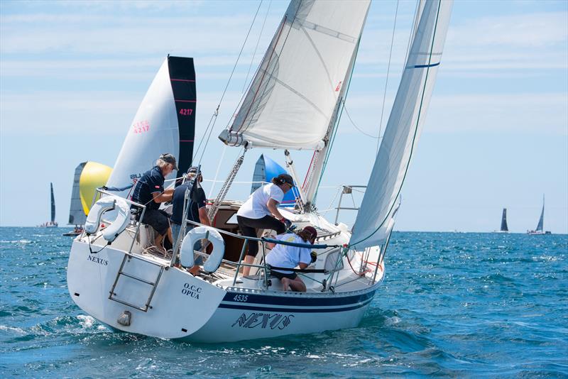 Cees Romeyn will sail Nexus at Bay of Islands Sailing Week for the 20th time in 2023 - photo © Lissa Photography