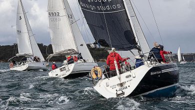 Currwong, Flying Circus and Big Blue all head back down the Harbour during Race Two - photo © John Curnow