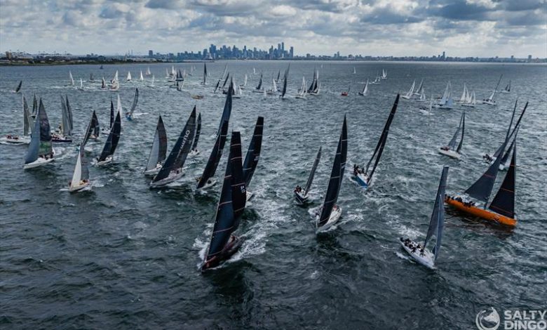Festival of Sails ©Salty Dingo