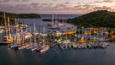Oyster World Rally© 2024 OYSTER YACHTS