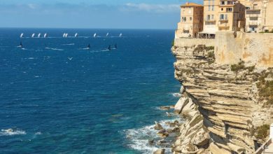 Swan Bonifacio Challenge ©Studio Borlenghi