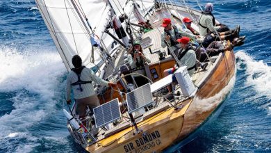 Transpac 2025 - photo © Sharon Green / ultimatesailing.com