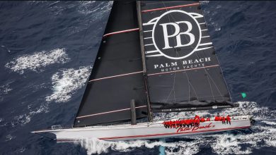 Palm Beach XI ©Stefano Gattini